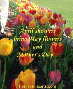 Tulip Walkway w April Showers Quote