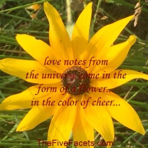 Love Notes from the universe Yellow Flower