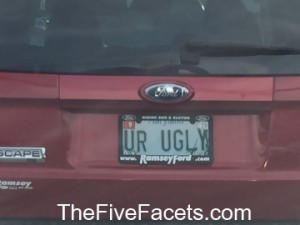 UR Ugly License Plate