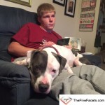 Faithful Dog Patches with Big Guy