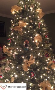 Christmas Tree 2015 Bounce