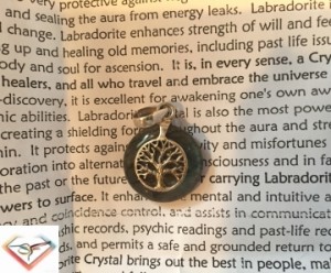 Labradorite Charm and info from Aunt T